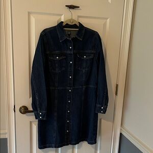 GAP Snap-Front Traditional Denim Shirtwaist Dress